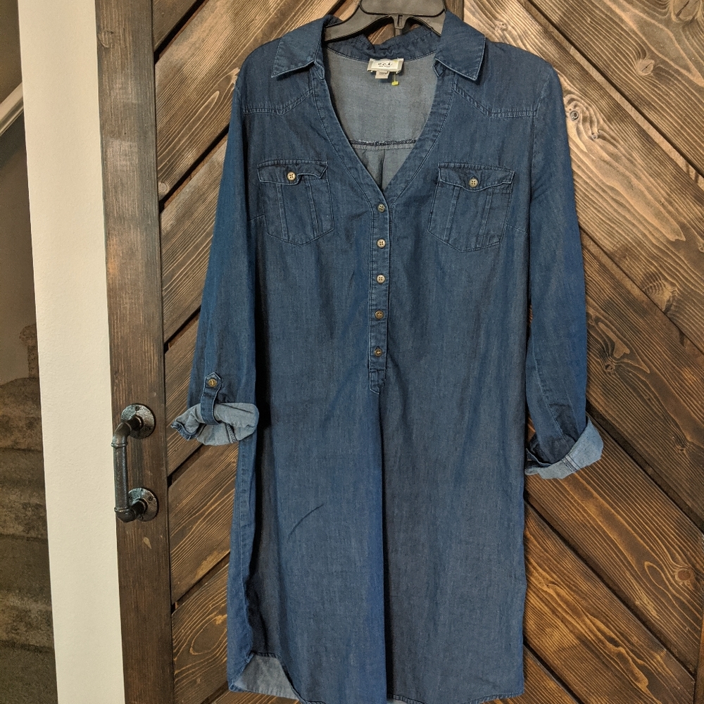 ECI Denim dresses 8